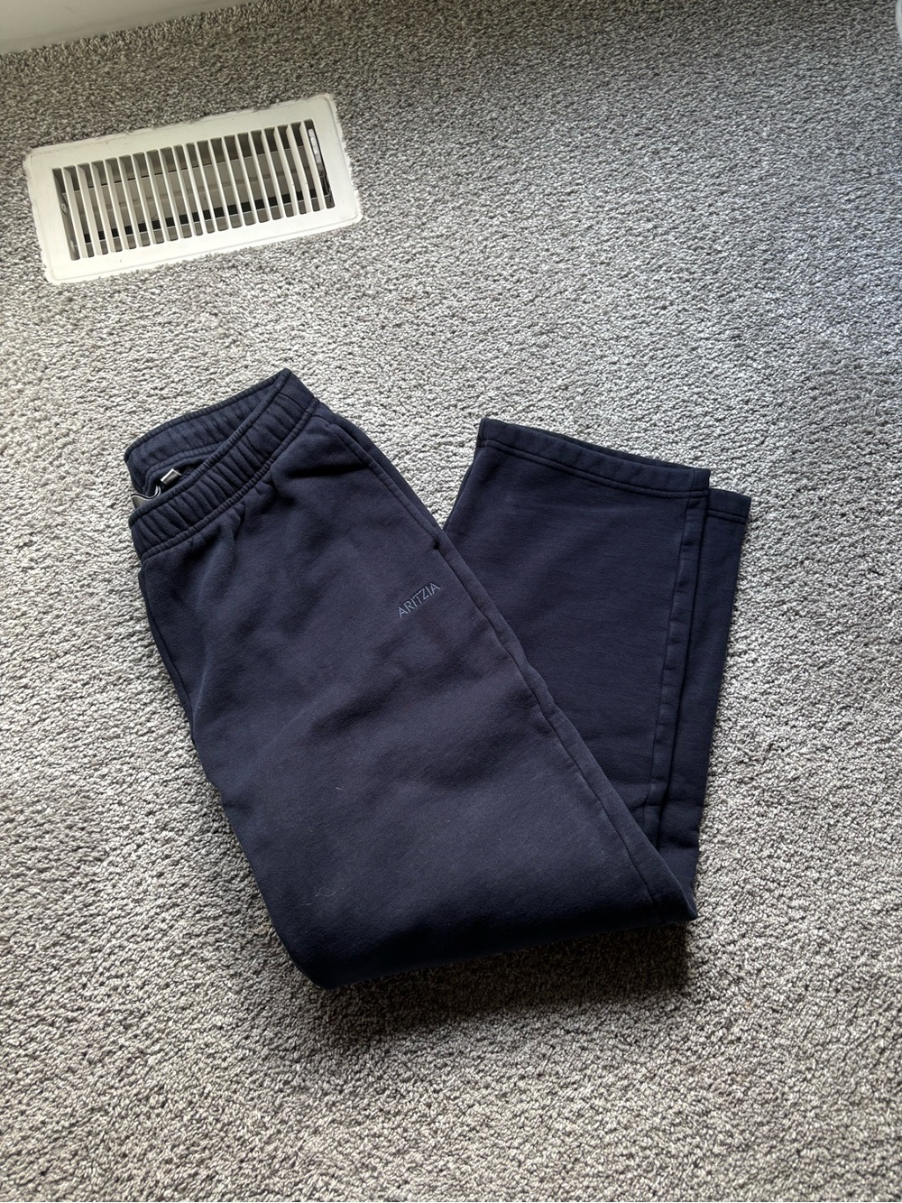 ARITZIA Navy Sweatpants